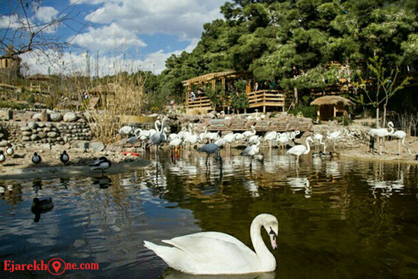 باغ پرندگان پارک شیان