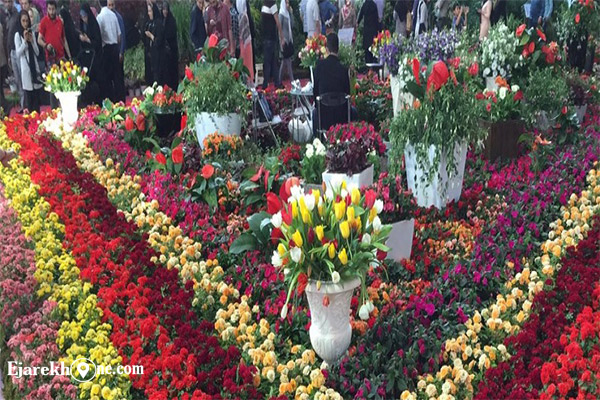 نمایشگاه گل و گیاه در بوستان گفتگو